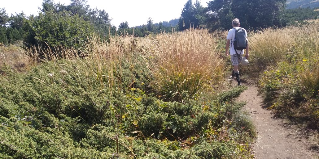 Природен Парк Витоша