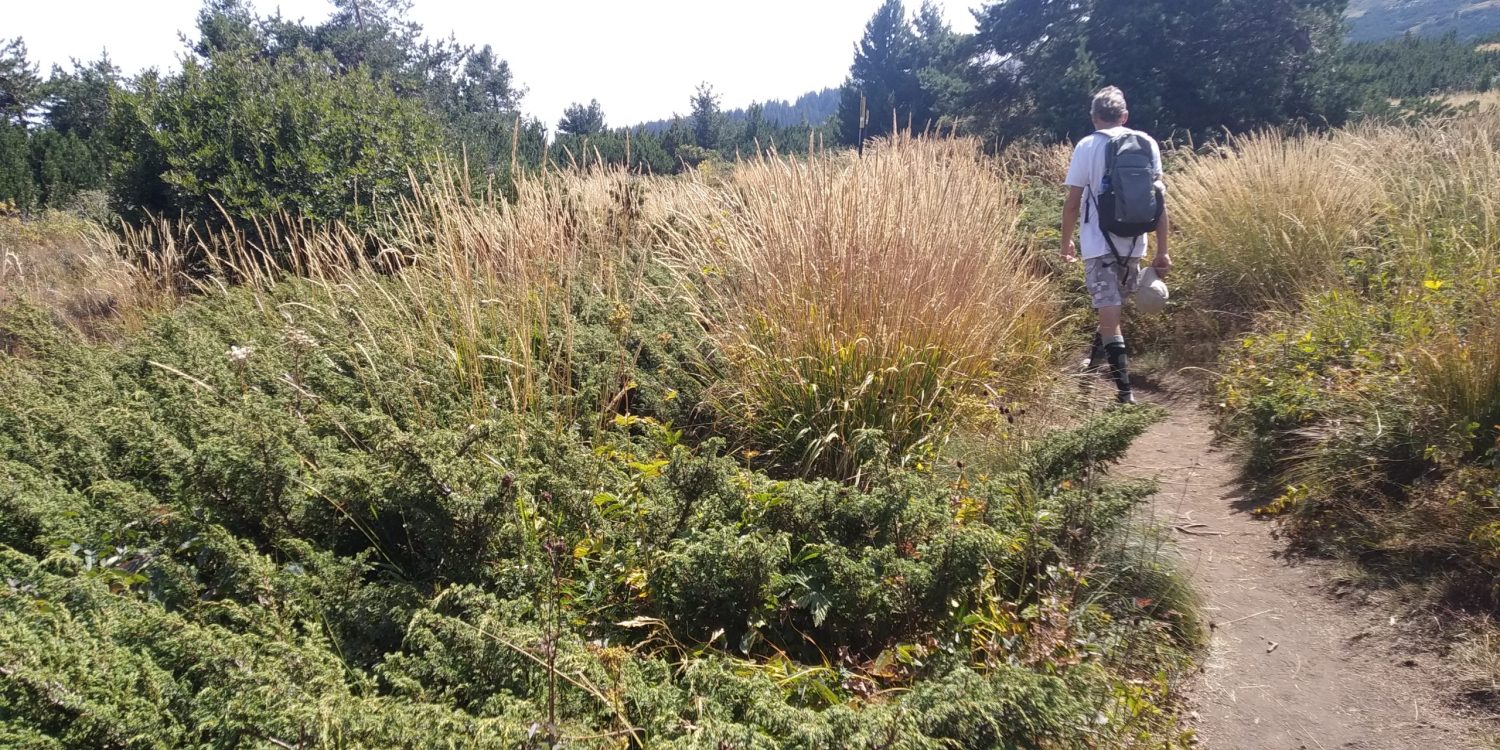 Природен Парк Витоша