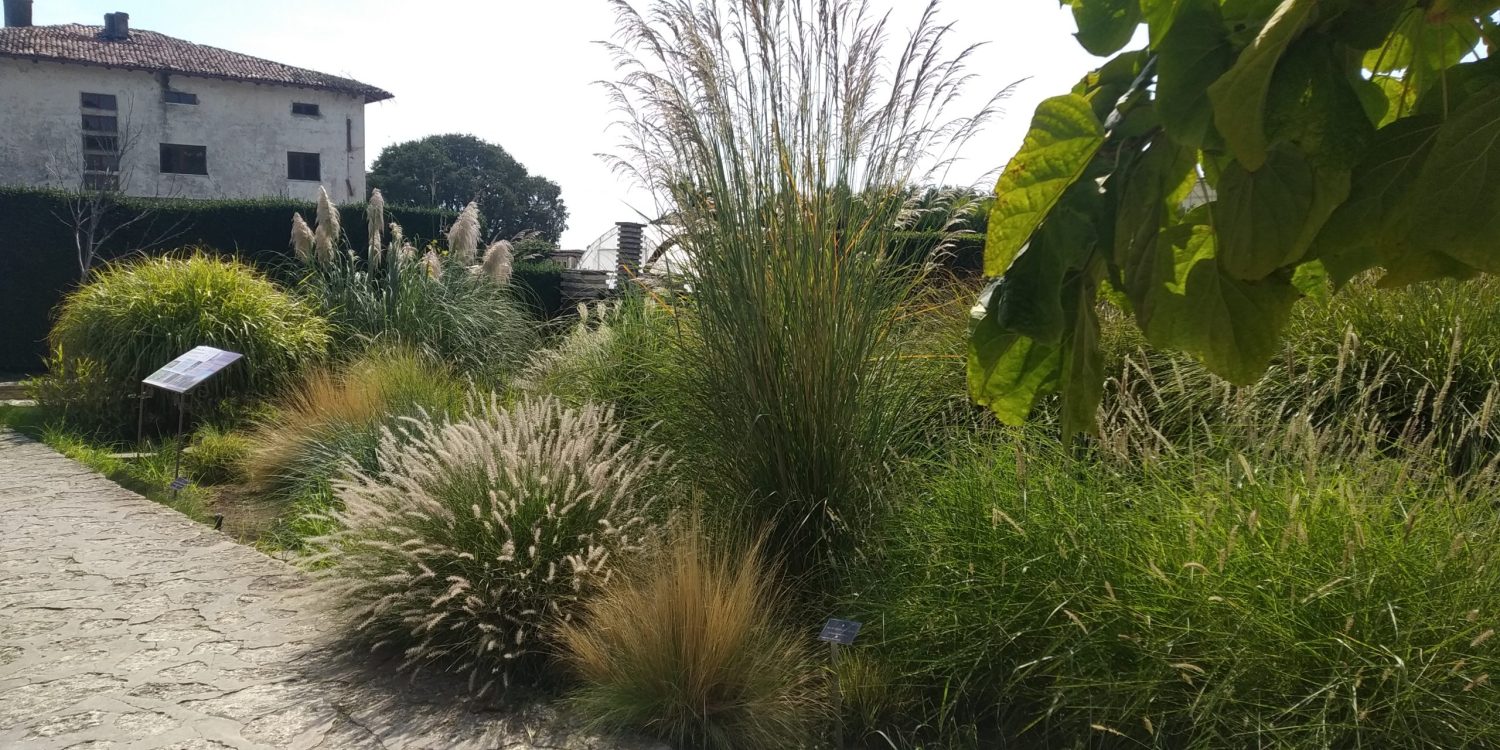 Двореца в Балчик