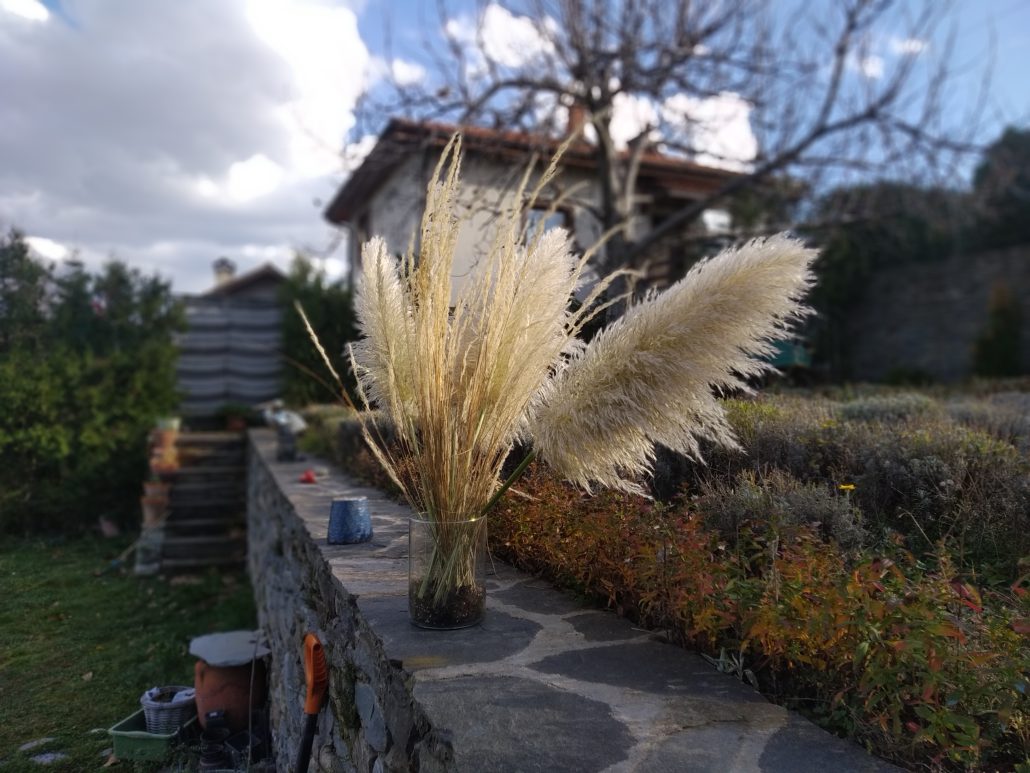 Цветни комбинации в градината през сезоните