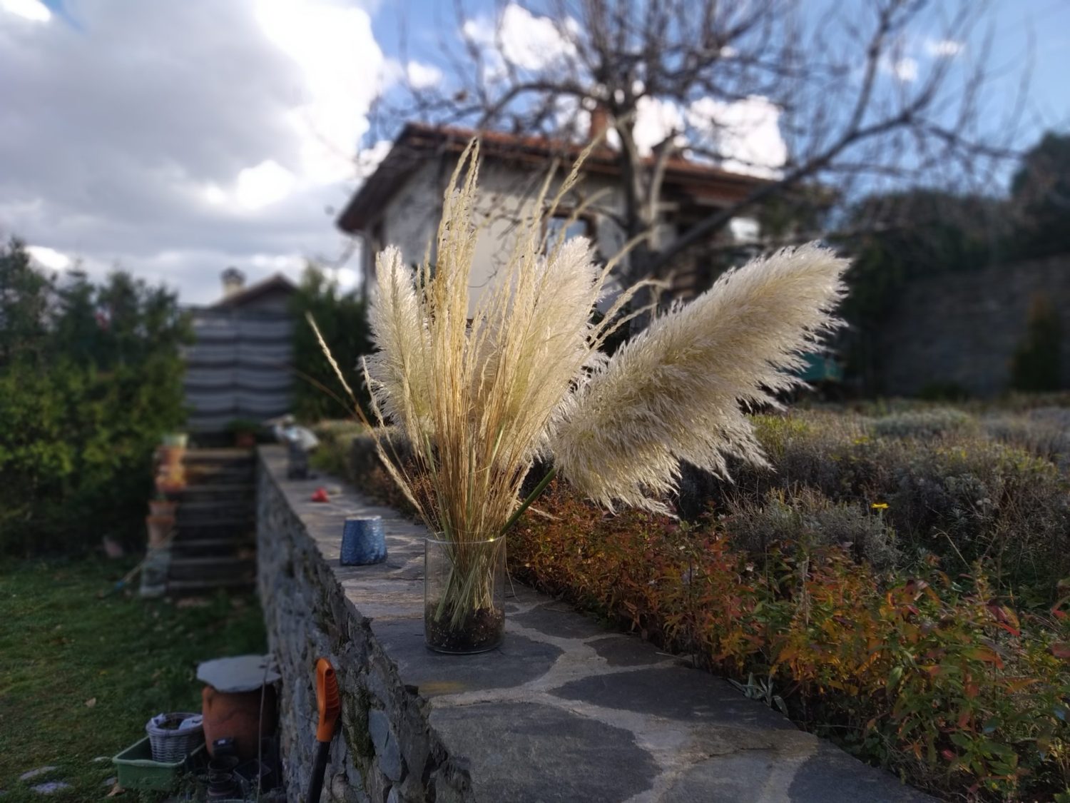 Цветни комбинации в градината през сезоните