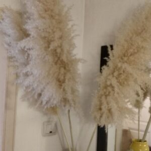 Цвят от Пампаска трева - Image 2