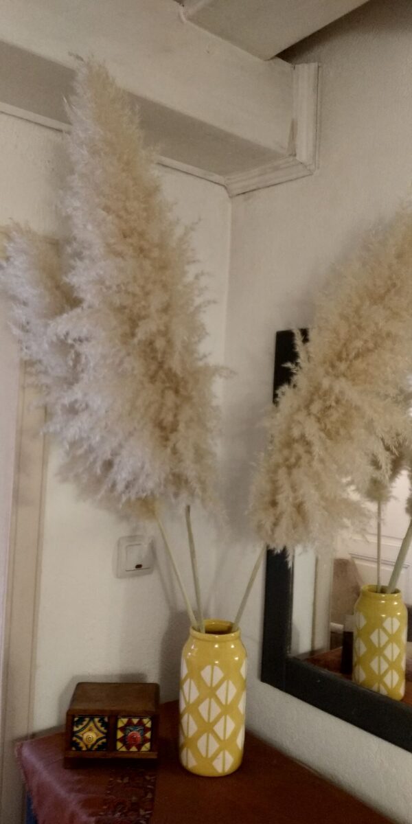 Цвят от Пампаска трева