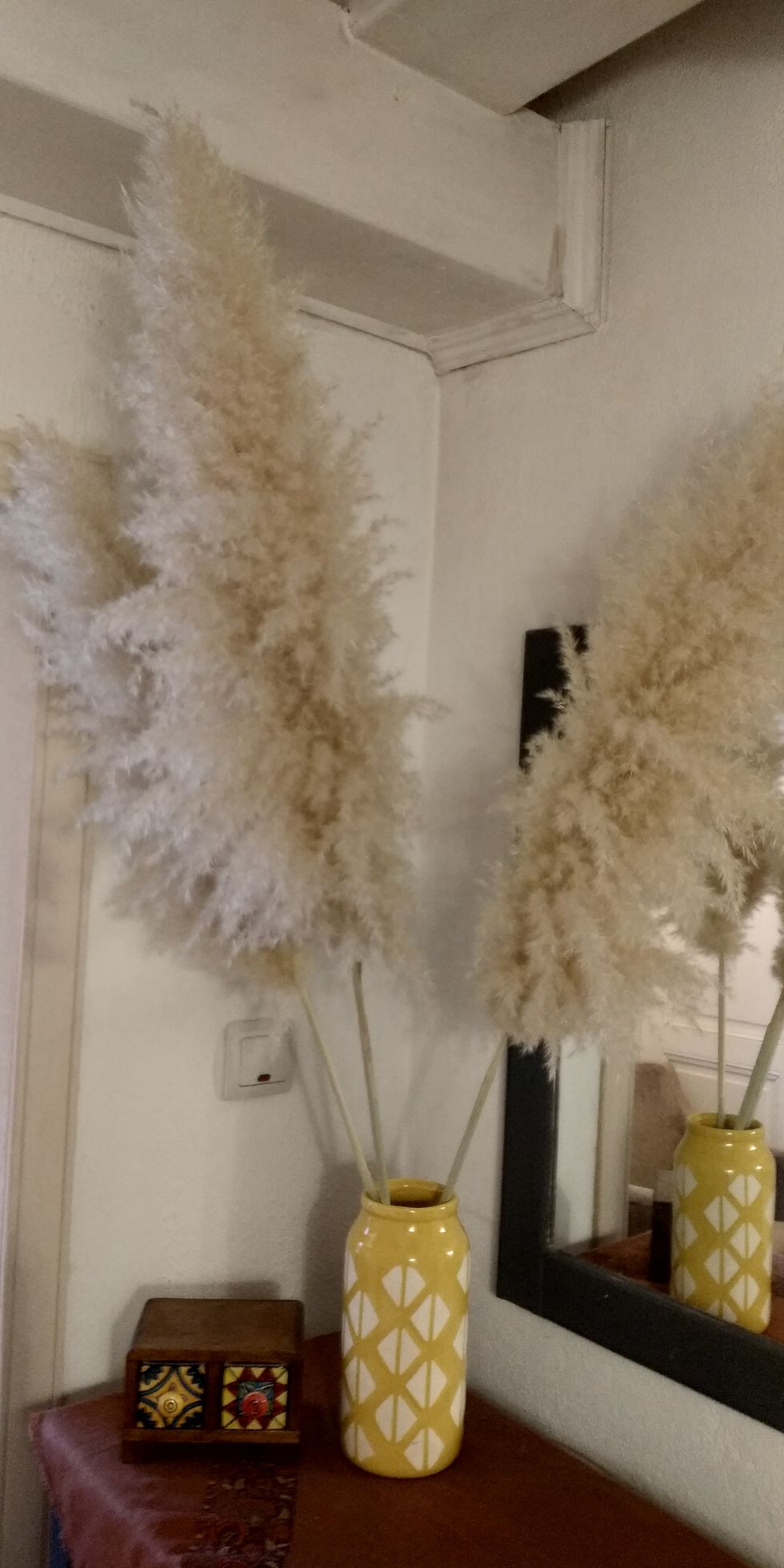 Цвят от Пампаска трева - Image 2