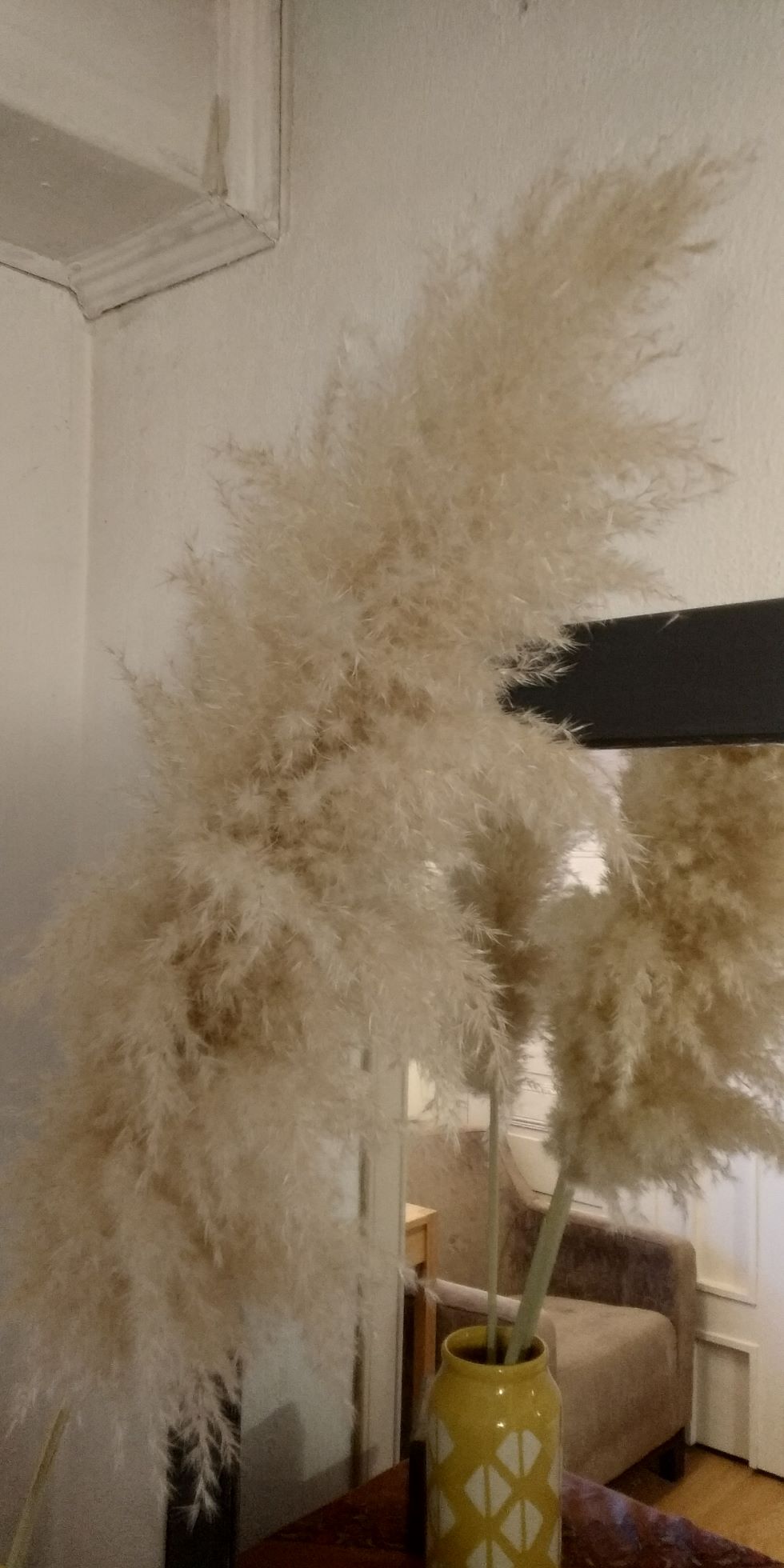 Цвят от Пампаска трева - Image 1