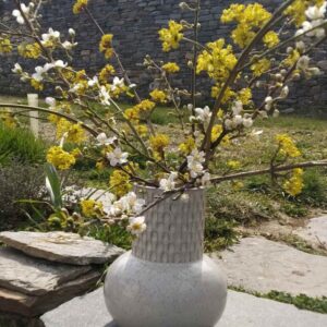 Клонки от цъфнал дрян - Image 3